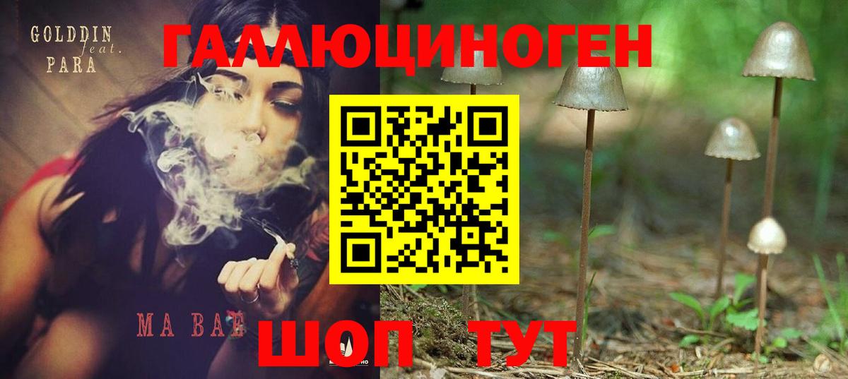 Галлюциногенные грибы Psilocybe Оренбург